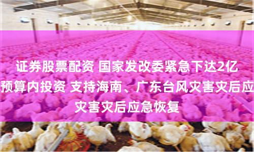证券股票配资 国家发改委紧急下达2亿元中央预算内投资 支持海南、广东台风灾害灾后应急恢复